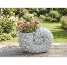 Blomkruka i form av en snigel med blommande blommor på ett träbord i trädgården