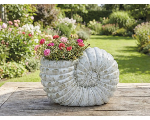 Blomkruka i form av en snigel med blommande blommor på ett träbord i trädgården