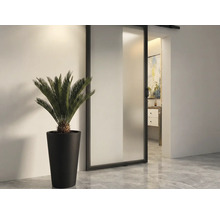 Rumsutsikt med skjutdörr, krukväxt och utsikt över ett badrum