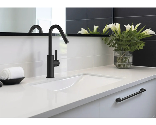 Handfat med svart armatur, vit bänkskiva och dekoration i badrummet