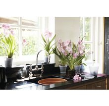 Diskbänk med kran och flera krukväxter med rosa blommor