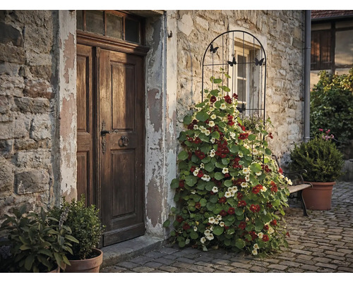 Exteriör av ett hus med trädörr och spaljé med blommande blomsterkrasseväxter