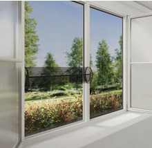 Fönster med insektsnät och utsikt över grönska