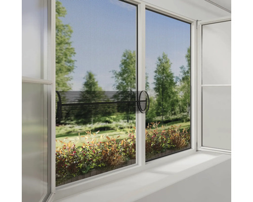 Fönster med insektsnät och utsikt över grönska