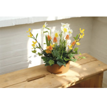 Dekorativ blomsterarrangemang med narcisser i keramikkruka på träbord