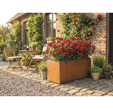 Trädgårdsscen med en rektangulär metallplanteringslåda planterad med röda rosor, och en sittgrupp med bord och stolar på en terrass framför ett hus.