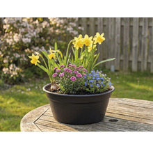 Blomsterarrangemang med påskliljor, nejlikor och förgätmigej i en kruka på ett träbord