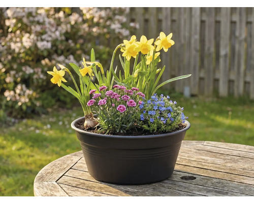 Blomsterarrangemang med påskliljor, nejlikor och förgätmigej i en kruka på ett träbord