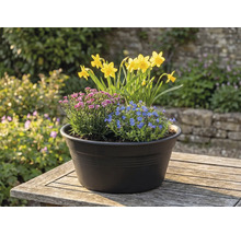 Blomsterarrangemang med påskliljor, blåa och rosa blommor i en kruka på ett bord utomhus