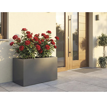 Rektangulär blomlåda med röda rosor framför ett hus