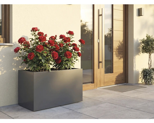 Rektangulär blomlåda med röda rosor framför ett hus