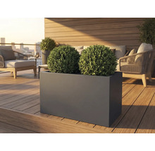 Rektangulär planteringslåda med två buxbomsklot på en terrass