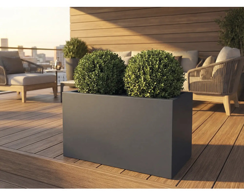 Rektangulär planteringslåda med två buxbomsklot på en terrass