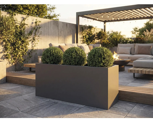 Utomhusbild av en rektangulär, mörk planteringslåda med tre sfäriska växter på en stenlagd terrass