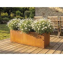 Metall blomlåda med prästkragar på en träterrass