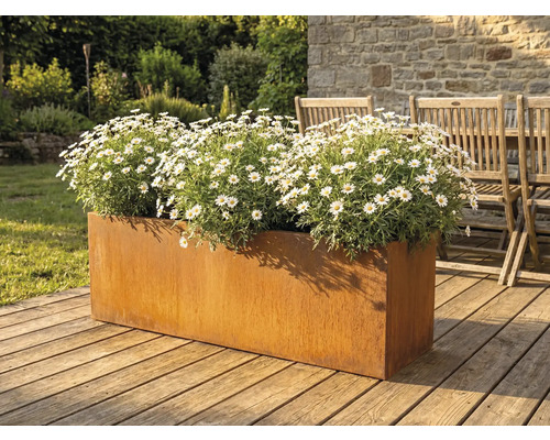 Metall blomlåda med prästkragar på en träterrass