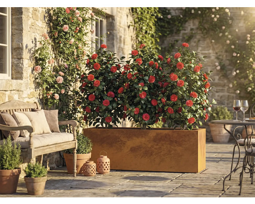 Utomhusmiljö med blommor i en planteringslåda, en bänk och ett bord med stolar på en terrass