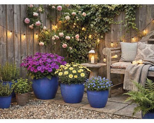 Dekorativ trädgård med trädgårdsmöbler, växter och belysning