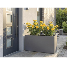 Grå planteringslåda med gula rosor framför ytterdörren