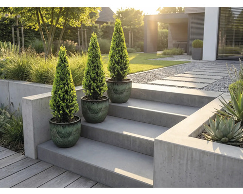 Tre krukväxter på en betongtrappa i en modern trädgård.