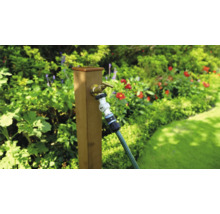 Trädgårdsscen med vattenkran och trädgårdsslang på en trästolpe