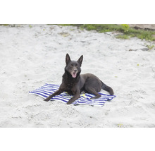 En hund ligger på en handduk på stranden.