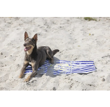 Hund ligger på en badhandduk i sanden