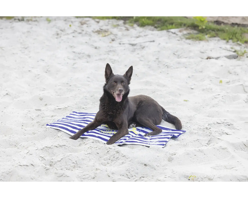 En hund ligger på en handduk på stranden.
