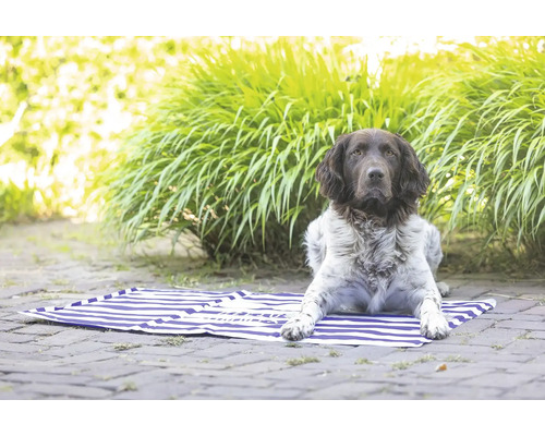 En hund ligger på en blå-vitrandig strandmatta i trädgården.