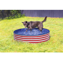 Hund i hundpool med randigt mönster