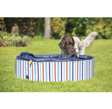 Hund som kliver ner i en randig hundpool på en gräsmatta