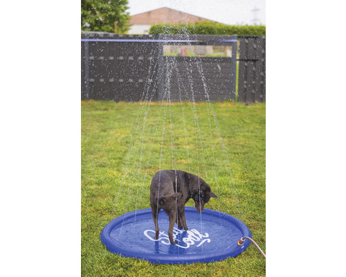 En hund står i en blå plaskpool som besprutas med vatten, i trädgården.
