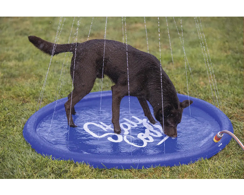 En hund dricker från en blå plaskpoolsdusch i trädgården.