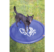 En hund står på en rund, blå vattenlekplats med texten Stay Cool medan vattenstrålar regnar ner från ovan.