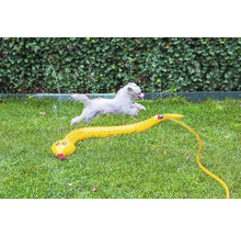 Hund hoppar över grässpridare i ormform