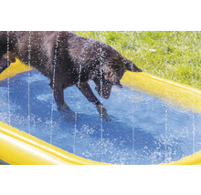 En hund plaskar i en gul pool.