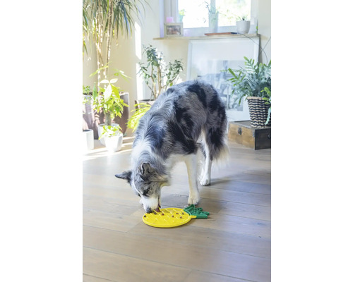 En hund äter mat från en gul interaktiv matleksak i form av en ananas.