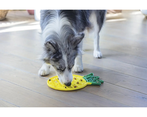 Hund äter mat från en interaktiv foderleksak i form av en ananas
