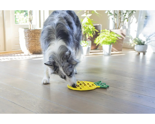 En hund äter ur en gul interaktiv matskål i form av en ananas.