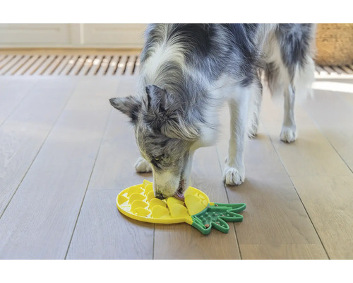 En hund äter från en interaktiv foderleksak i ananasform.