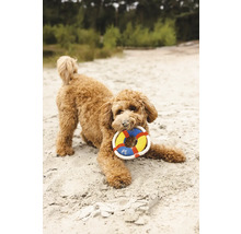 Hund med hundleksak i munnen