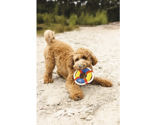 Hund med hundleksak i munnen