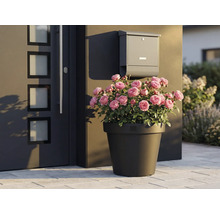 Dekorativa rosor i blomkruka bredvid ytterdörr och brevlåda