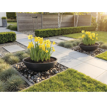 Trädgårdsscen med stenläggning, blommor och dekoration