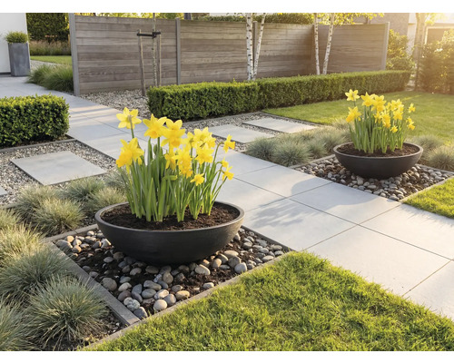 Trädgårdsscen med stenläggning, blommor och dekoration