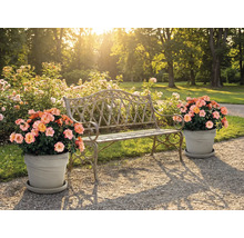 Scen med trädgårdsbänk och blomkrukor utomhus