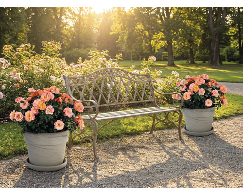 Scen med trädgårdsbänk och blomkrukor utomhus