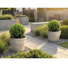 Anlagd trädgård med planteringskärl och trottoarplattor