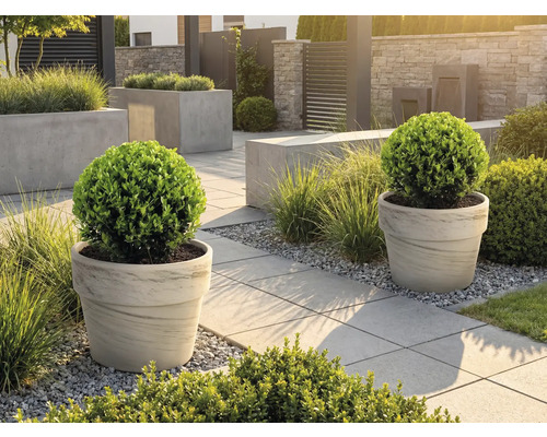 Anlagd trädgård med planteringskärl och trottoarplattor