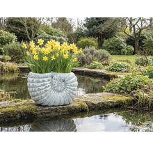 Påskliljor i en planteringslåda i form av ett skal vid dammkanten